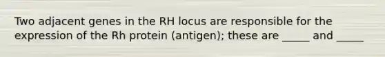 Two adjacent genes in the RH locus are responsible for the expression of the Rh protein (antigen); these are _____ and _____