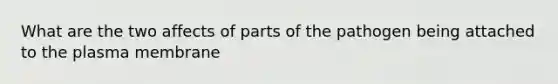 What are the two affects of parts of the pathogen being attached to the plasma membrane