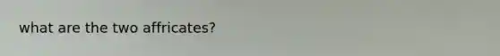 what are the two affricates?