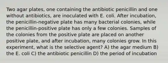 Two agar plates, one containing the antibiotic penicillin and one without antibiotics, are inoculated with E. coli. After incubation, the penicillin-negative plate has many bacterial colonies, while the penicillin-positive plate has only a few colonies. Samples of the colonies from the positive plate are placed on another positive plate, and after incubation, many colonies grow. In this experiment, what is the selective agent? A) the agar medium B) the E. coli C) the antibiotic penicillin D) the period of incubation