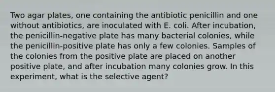 Two agar plates, one containing the antibiotic penicillin and one without antibiotics, are inoculated with E. coli. After incubation, the penicillin-negative plate has many bacterial colonies, while the penicillin-positive plate has only a few colonies. Samples of the colonies from the positive plate are placed on another positive plate, and after incubation many colonies grow. In this experiment, what is the selective agent?