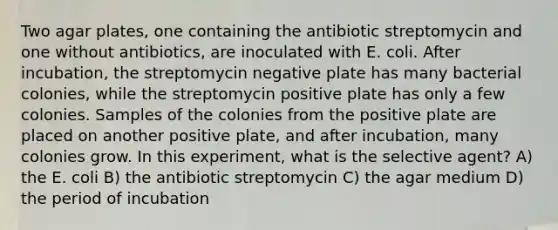 Two agar plates, one containing the antibiotic streptomycin and one without antibiotics, are inoculated with E. coli. After incubation, the streptomycin negative plate has many bacterial colonies, while the streptomycin positive plate has only a few colonies. Samples of the colonies from the positive plate are placed on another positive plate, and after incubation, many colonies grow. In this experiment, what is the selective agent? A) the E. coli B) the antibiotic streptomy<a href='https://www.questionai.com/knowledge/kaietjcjQF-cin-c' class='anchor-knowledge'>cin c</a>) the agar medium D) the period of incubation