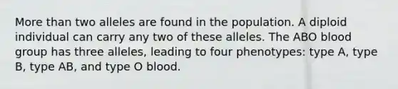 More than two alleles are found in the population. A diploid individual can carry any two of these alleles. The ABO blood group has three alleles, leading to four phenotypes: type A, type B, type AB, and type O blood.