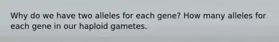 Why do we have two alleles for each gene? How many alleles for each gene in our haploid gametes.