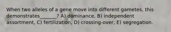 When two alleles of a gene move into different gametes, this demonstrates_______? A) dominance, B) independent assortment, C) fertilization, D) crossing-over, E) segregation.