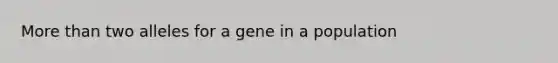 More than two alleles for a gene in a population