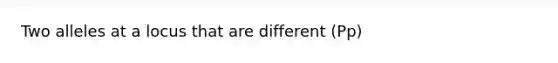 Two alleles at a locus that are different (Pp)