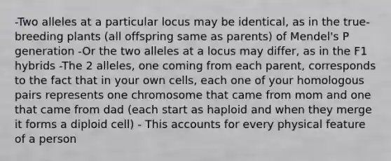 -Two alleles at a particular locus may be identical, as in the true-breeding plants (all offspring same as parents) of Mendel's P generation -Or the two alleles at a locus may differ, as in the F1 hybrids -The 2 alleles, one coming from each parent, corresponds to the fact that in your own cells, each one of your homologous pairs represents one chromosome that came from mom and one that came from dad (each start as haploid and when they merge it forms a diploid cell) - This accounts for every physical feature of a person