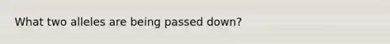 What two alleles are being passed down?