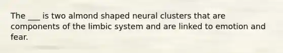 The ___ is two almond shaped neural clusters that are components of the limbic system and are linked to emotion and fear.