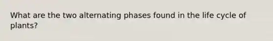 What are the two alternating phases found in the life cycle of plants?