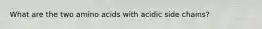 What are the two amino acids with acidic side chains?