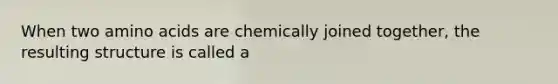 When two amino acids are chemically joined together, the resulting structure is called a