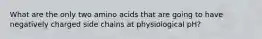 What are the only two amino acids that are going to have negatively charged side chains at physiological pH?