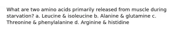 What are two amino acids primarily released from muscle during starvation? a. Leucine & isoleucine b. Alanine & glutamine c. Threonine & phenylalanine d. Arginine & histidine