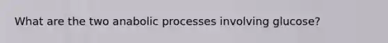 What are the two anabolic processes involving glucose?