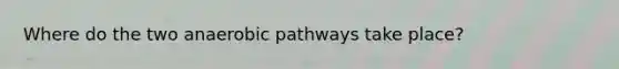 Where do the two anaerobic pathways take place?