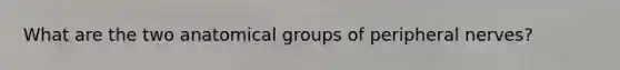 What are the two anatomical groups of peripheral nerves?
