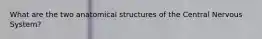 What are the two anatomical structures of the Central Nervous System?