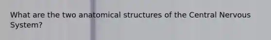 What are the two anatomical structures of the Central Nervous System?