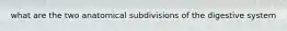 what are the two anatomical subdivisions of the digestive system