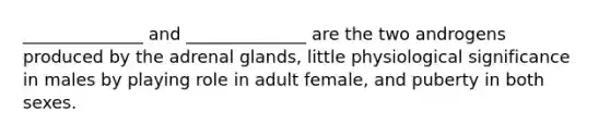 ______________ and ______________ are the two androgens produced by the adrenal glands, little physiological significance in males by playing role in adult female, and puberty in both sexes.