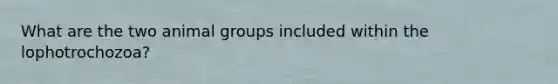 What are the two animal groups included within the lophotrochozoa?