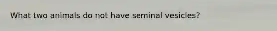 What two animals do not have seminal vesicles?