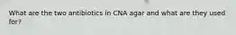 What are the two antibiotics in CNA agar and what are they used for?