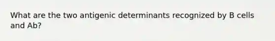 What are the two antigenic determinants recognized by B cells and Ab?