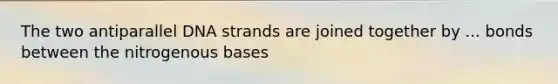 The two antiparallel DNA strands are joined together by ... bonds between the nitrogenous bases