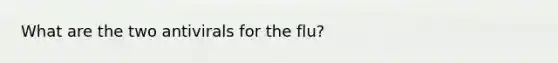 What are the two antivirals for the flu?