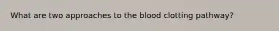 What are two approaches to the blood clotting pathway?