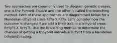 Two approaches are commonly used to diagram genetic crosses, one is the Punnett Square and the other is called the branching method. Both of these approaches are diagrammed below for a Mendelian dihybrid cross RrYy X RrYy. Let's consider how the outcome is changed if we add a third trait in a trihybrid cross: RrYyTt X RrYyTt. Use the branching method to determine the chances of getting a trihybrid individual RrYyTt from a Mendelian trihybrid mating.