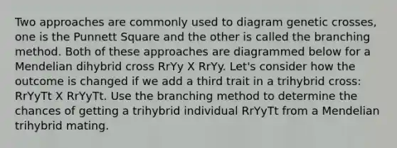 Two approaches are commonly used to diagram genetic crosses, one is the Punnett Square and the other is called the branching method. Both of these approaches are diagrammed below for a Mendelian dihybrid cross RrYy X RrYy. Let's consider how the outcome is changed if we add a third trait in a trihybrid cross: RrYyTt X RrYyTt. Use the branching method to determine the chances of getting a trihybrid individual RrYyTt from a Mendelian trihybrid mating.