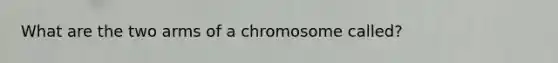 What are the two arms of a chromosome called?