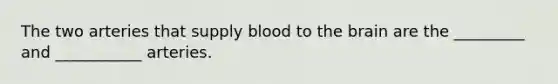 The two arteries that supply blood to the brain are the _________ and ___________ arteries.