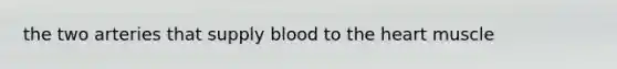 the two arteries that supply blood to the heart muscle