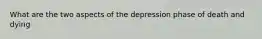 What are the two aspects of the depression phase of death and dying