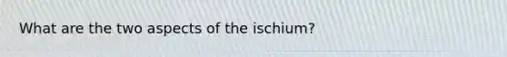 What are the two aspects of the ischium?