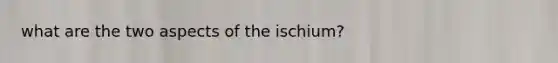 what are the two aspects of the ischium?