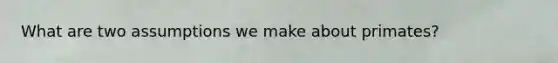 What are two assumptions we make about primates?