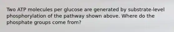 Two ATP molecules per glucose are generated by substrate-level phosphorylation of the pathway shown above. Where do the phosphate groups come from?