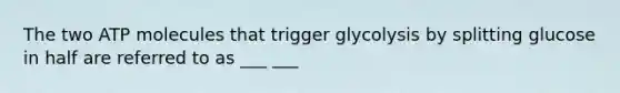 The two ATP molecules that trigger glycolysis by splitting glucose in half are referred to as ___ ___