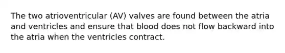 The two atrioventricular (AV) valves are found between the atria and ventricles and ensure that blood does not flow backward into the atria when the ventricles contract.