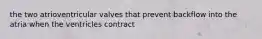 the two atrioventricular valves that prevent backflow into the atria when the ventricles contract