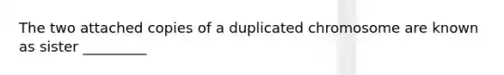 The two attached copies of a duplicated chromosome are known as sister _________