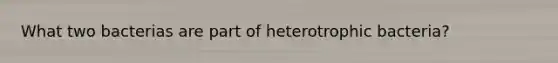 What two bacterias are part of heterotrophic bacteria?