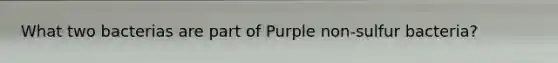 What two bacterias are part of Purple non-sulfur bacteria?