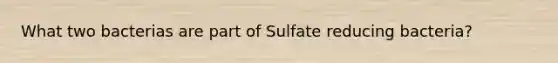 What two bacterias are part of Sulfate reducing bacteria?